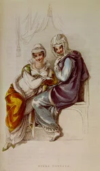 Opera Dresses, Ackermann Print